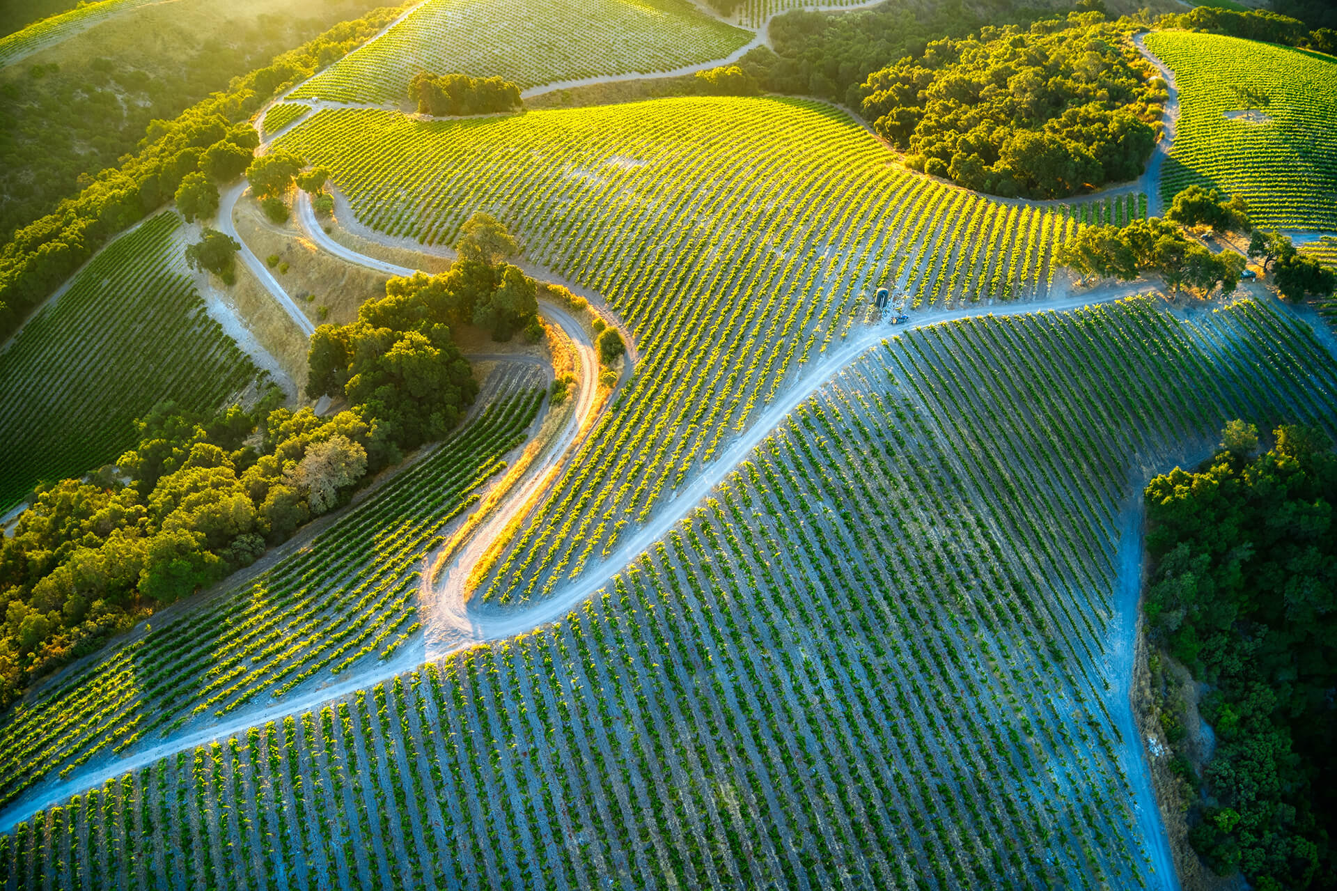 Tasting Tours